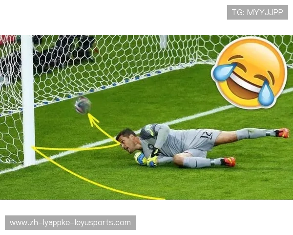 足球轴子假说在足球运动员生理调节中的潜在应用